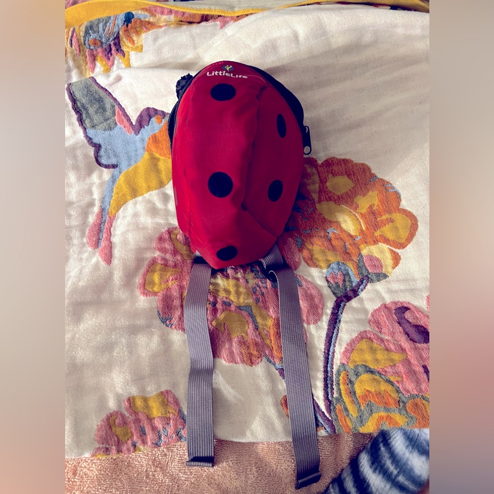 Little Life Ladybug toddler safety harness and backpack with hood.